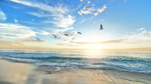 How Sunscreens Slay Skin Cancer