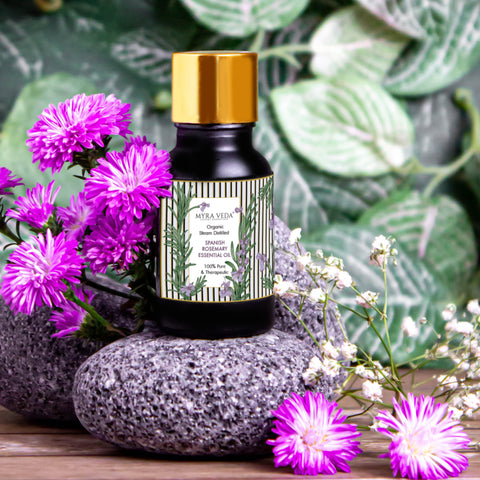 Spanish Rosemary Essential Oil – Myra Veda Luxury Essentials